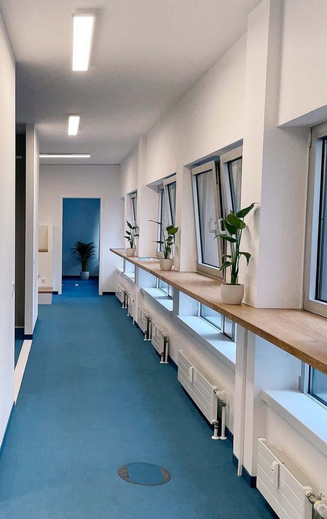 Inkubator als Think-Tank