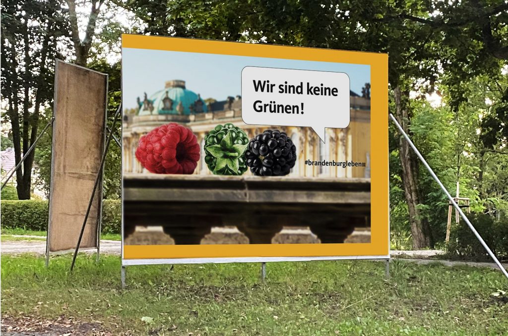 Wir machen Kampagne!