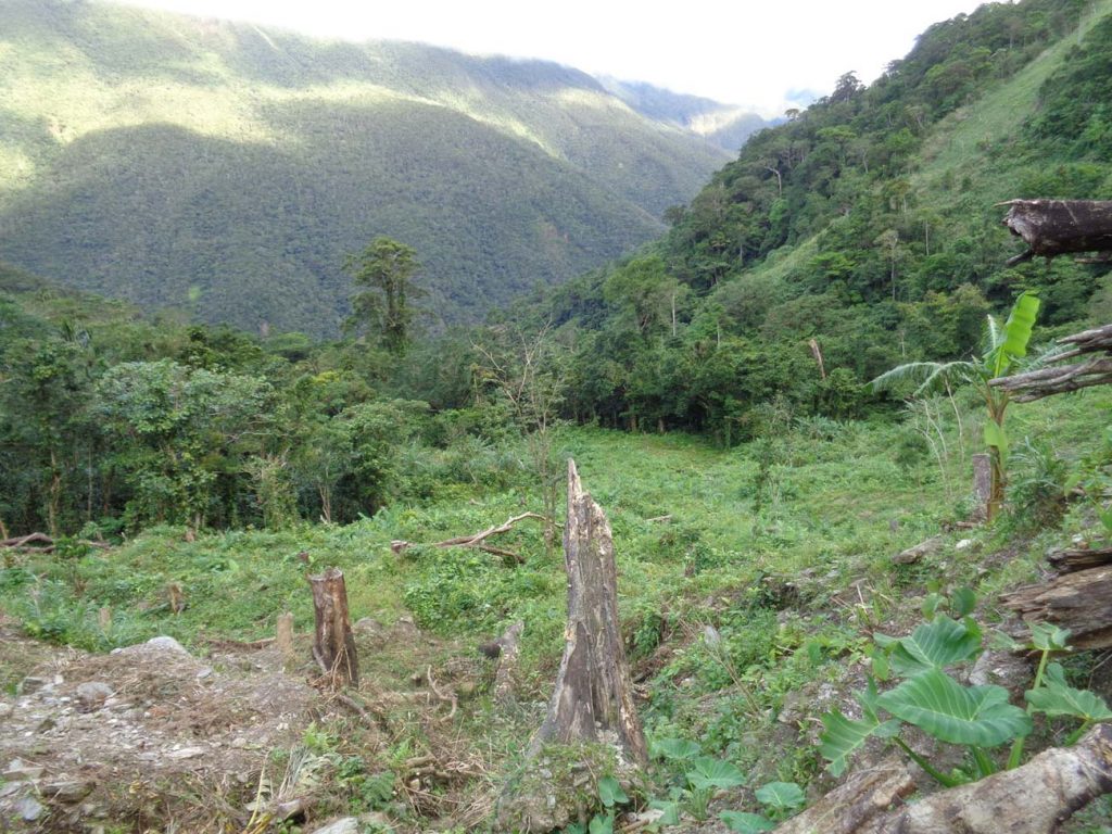 Nachhaltigkeit ist uns wichtig