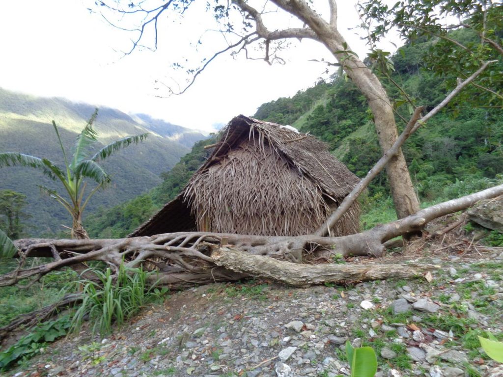 Nachhaltigkeit ist uns wichtig