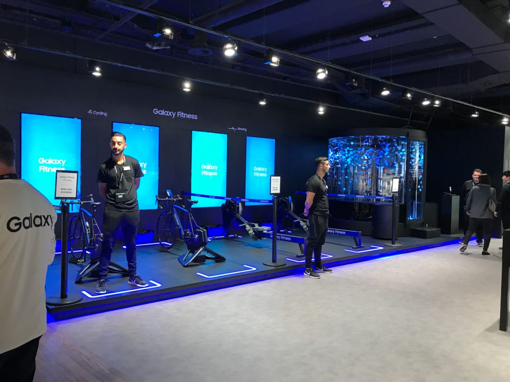 Premium Flagship Store